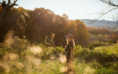 Mary Chapin Carpenter:  Hall of Fame Songwriter, Unlikely Country Star